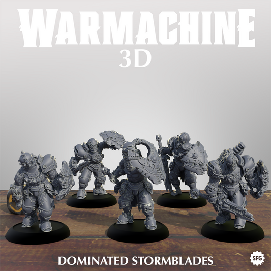 Dominated Stormblades Miniatures | Warmachine| High-Quality 3D Printing Service